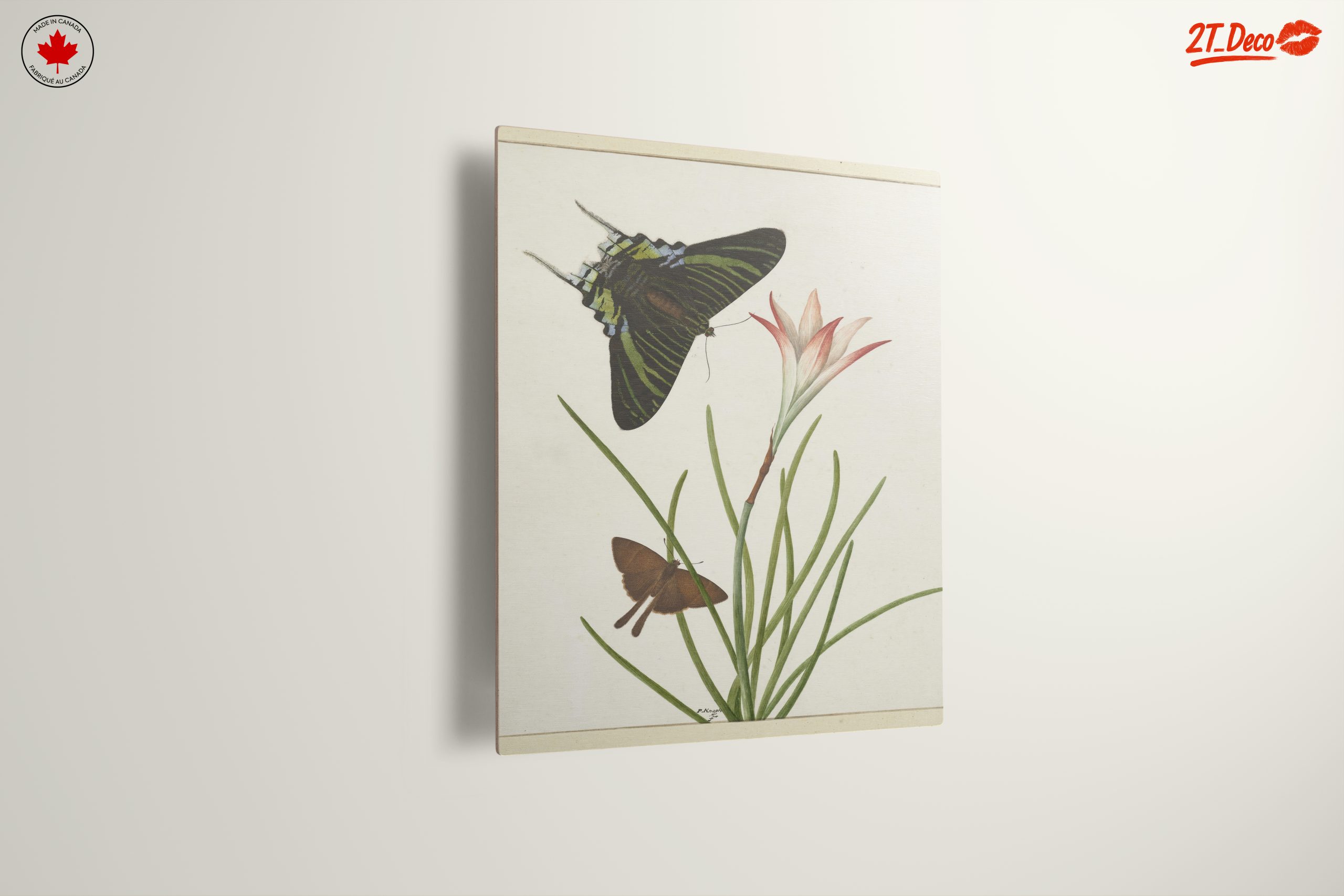 Colorful Butterfly Artwork with Floral Background - Image 13