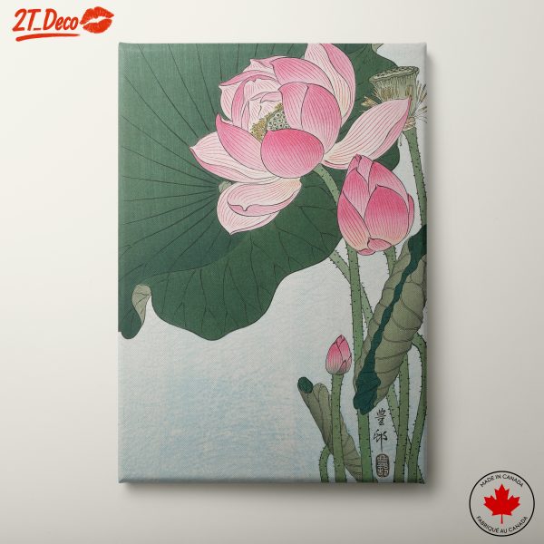 Lotus Flowers with Green Leaves