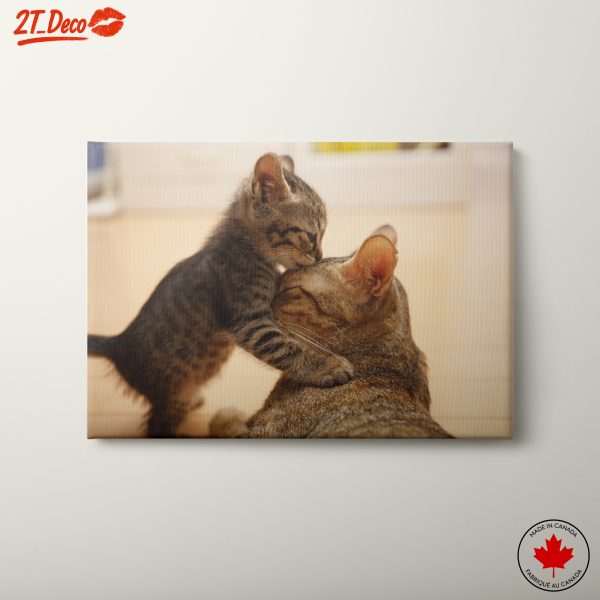 Playful Kittens with Parent Cat