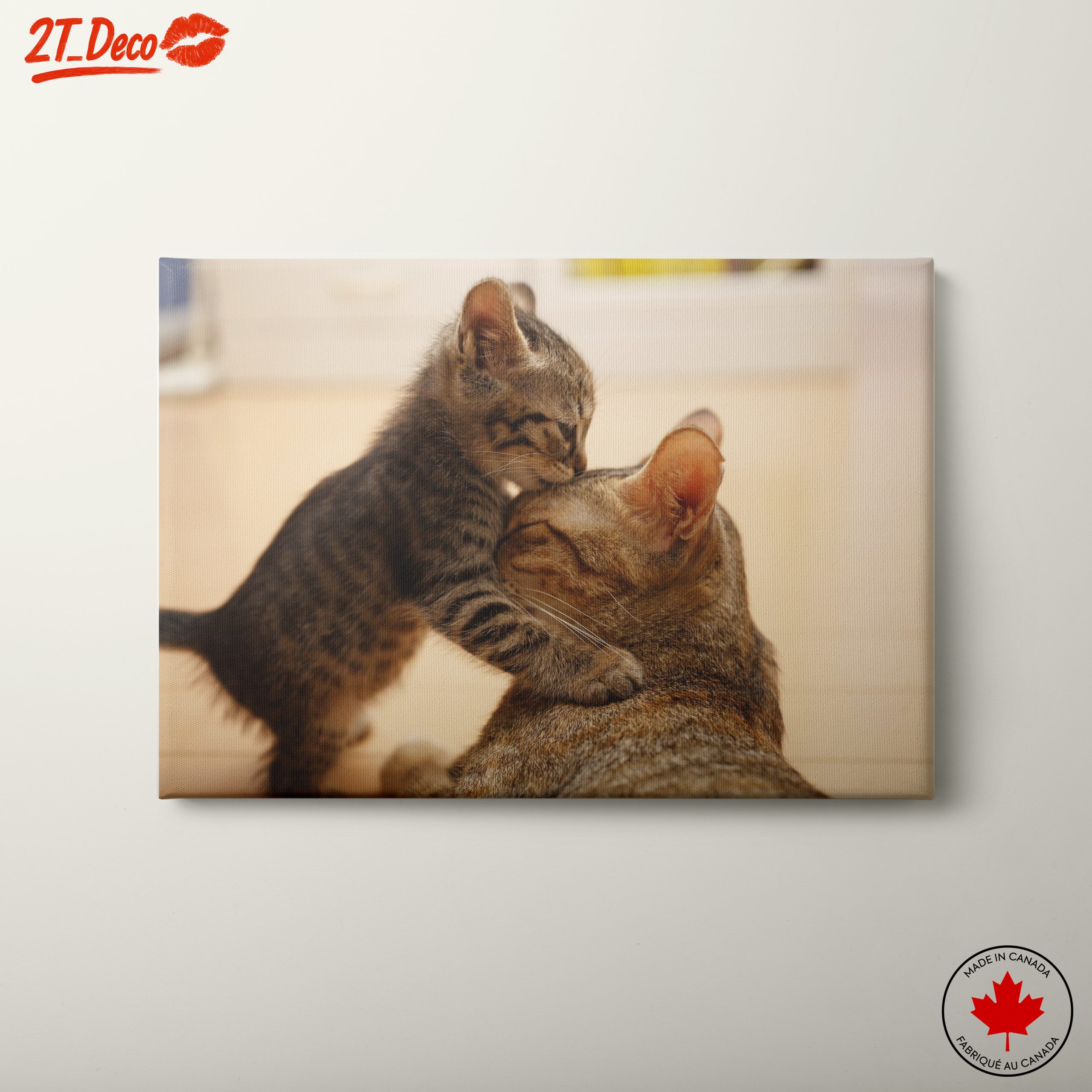 Playful Kittens with Parent Cat