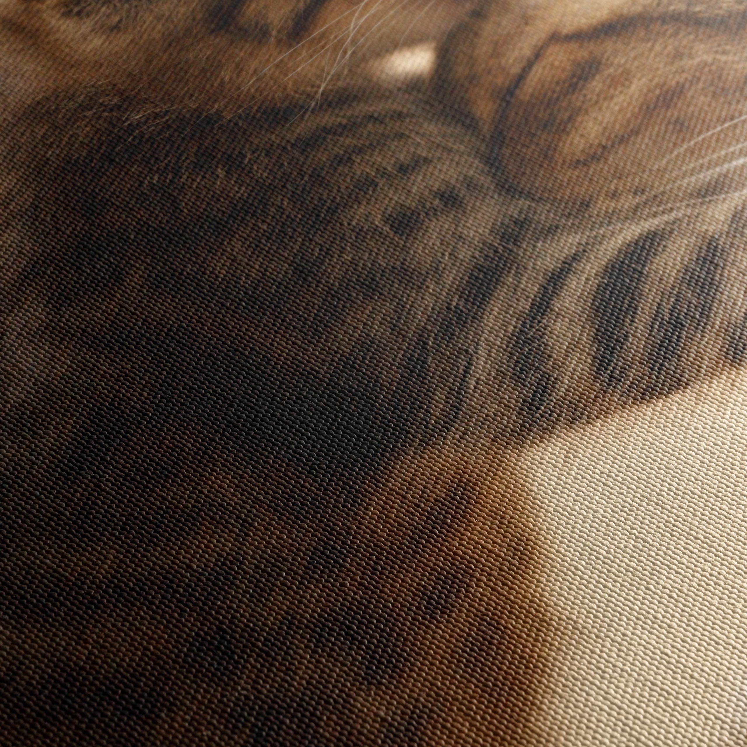 Playful Kittens with Parent Cat - Image 5