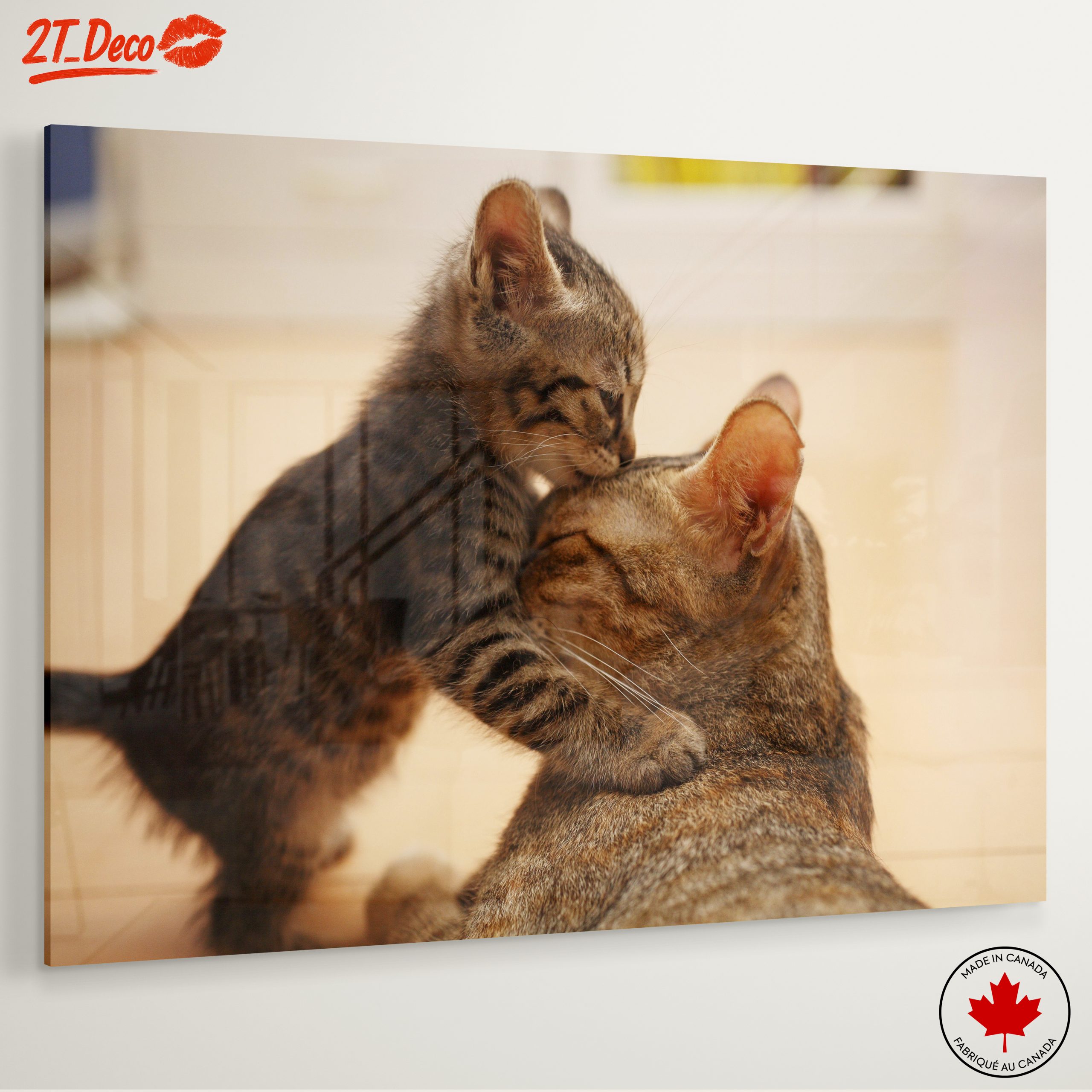 Playful Kittens with Parent Cat - Image 6