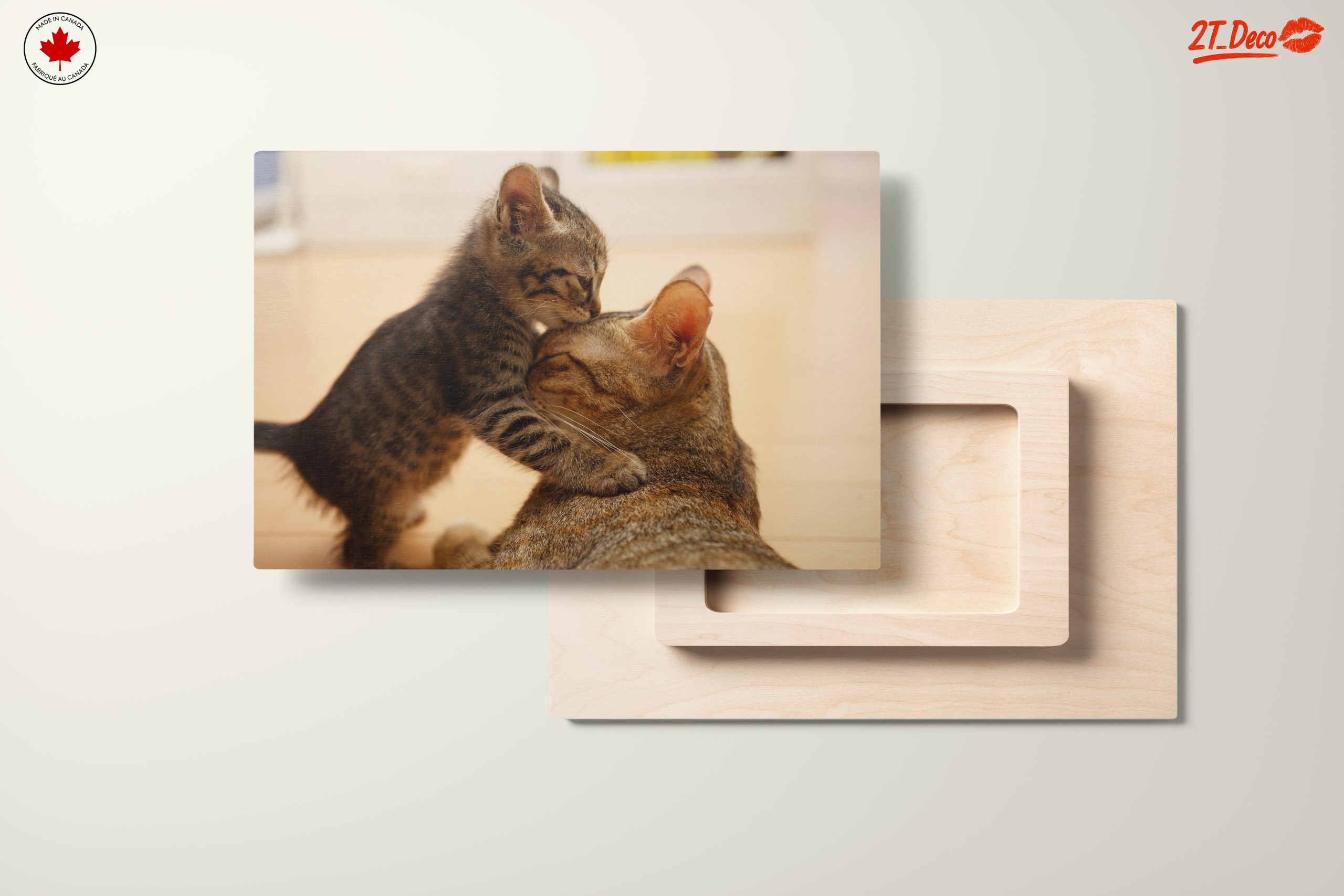 Playful Kittens with Parent Cat - Image 11