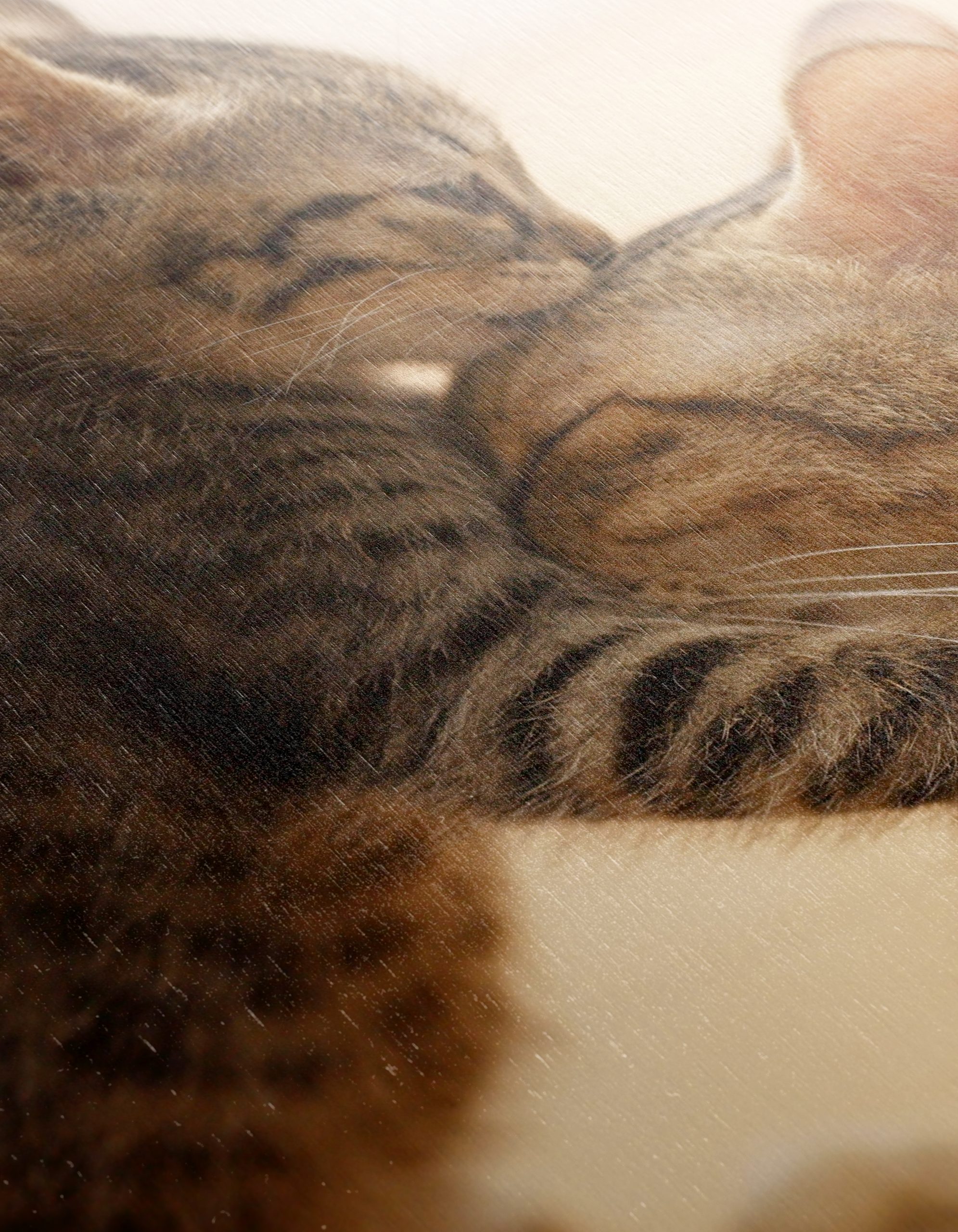 Playful Kittens with Parent Cat - Image 12