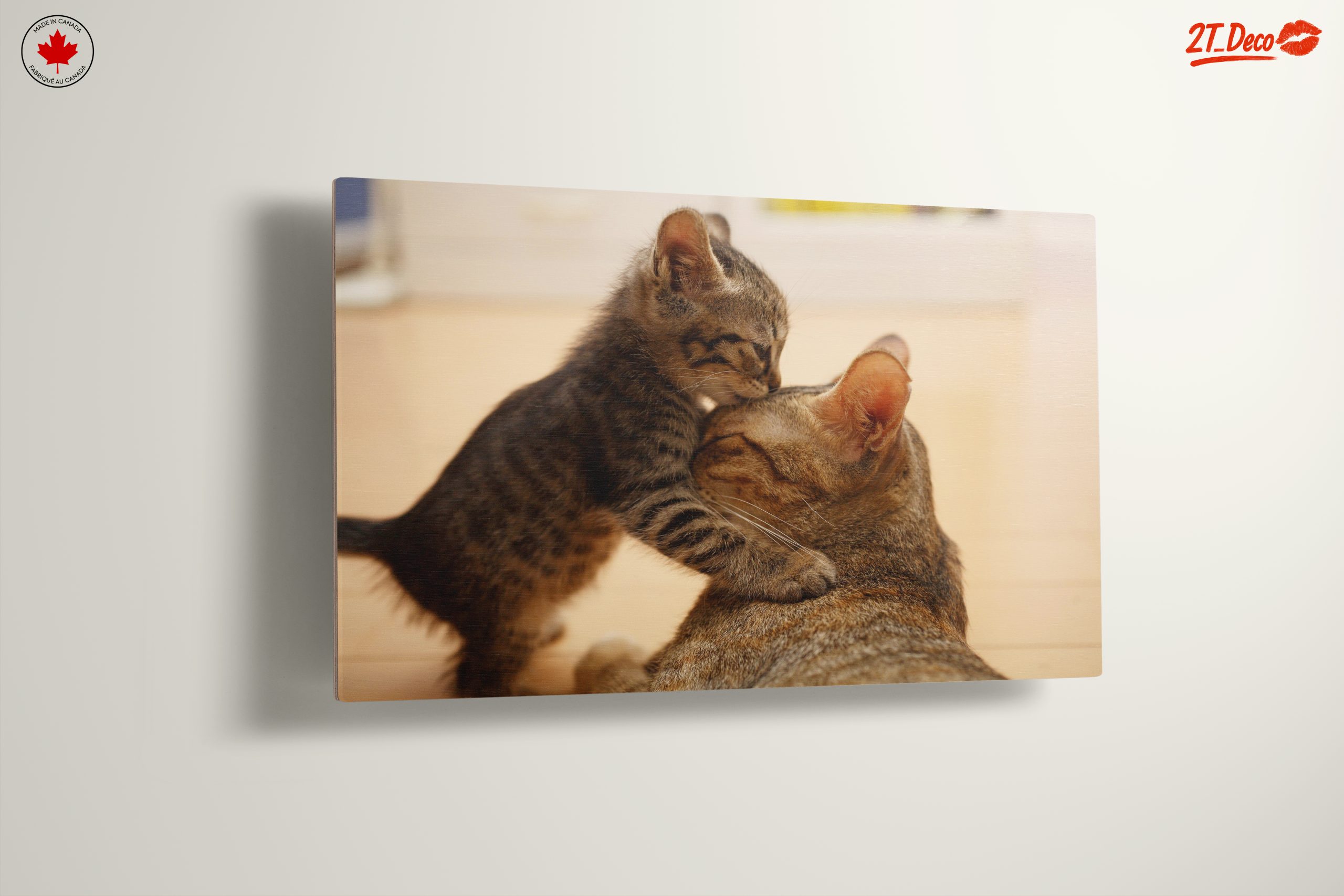 Playful Kittens with Parent Cat - Image 13