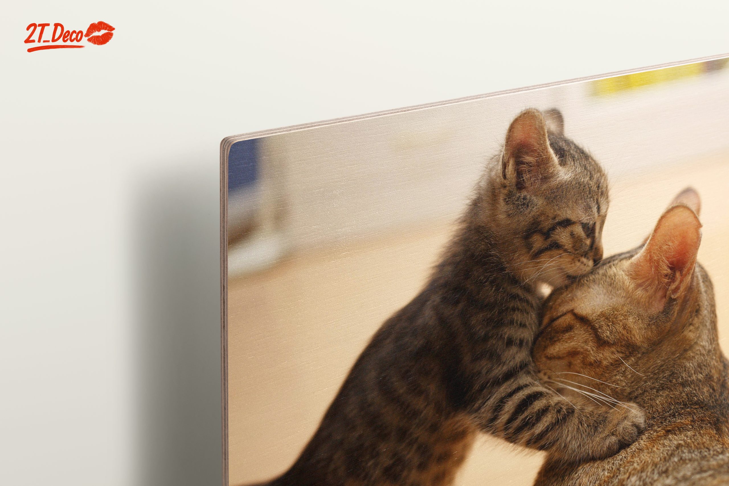 Playful Kittens with Parent Cat - Image 15