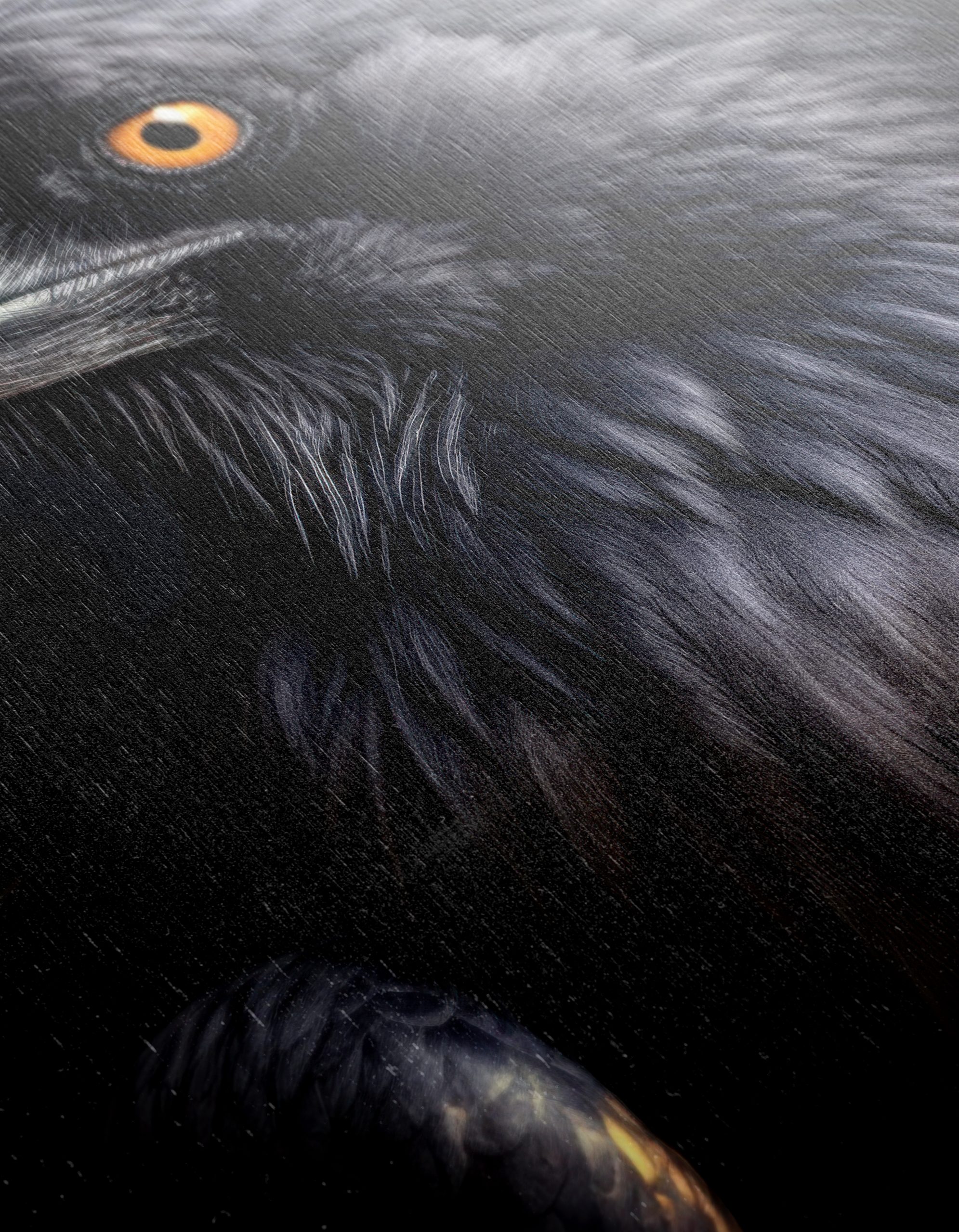 Majestic Raven Wall Art - Image 12