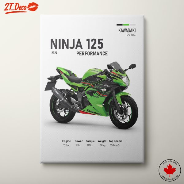Kawasaki Ninja 125 Performance Poster