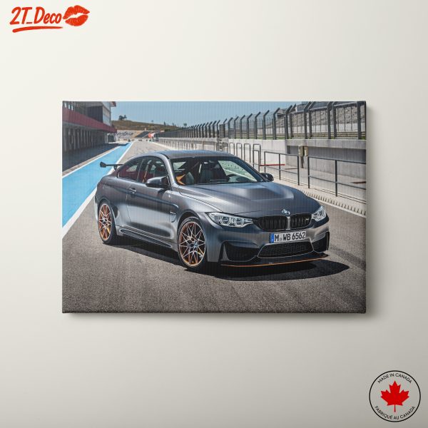 Luxury BMW Coupe on Racing Track