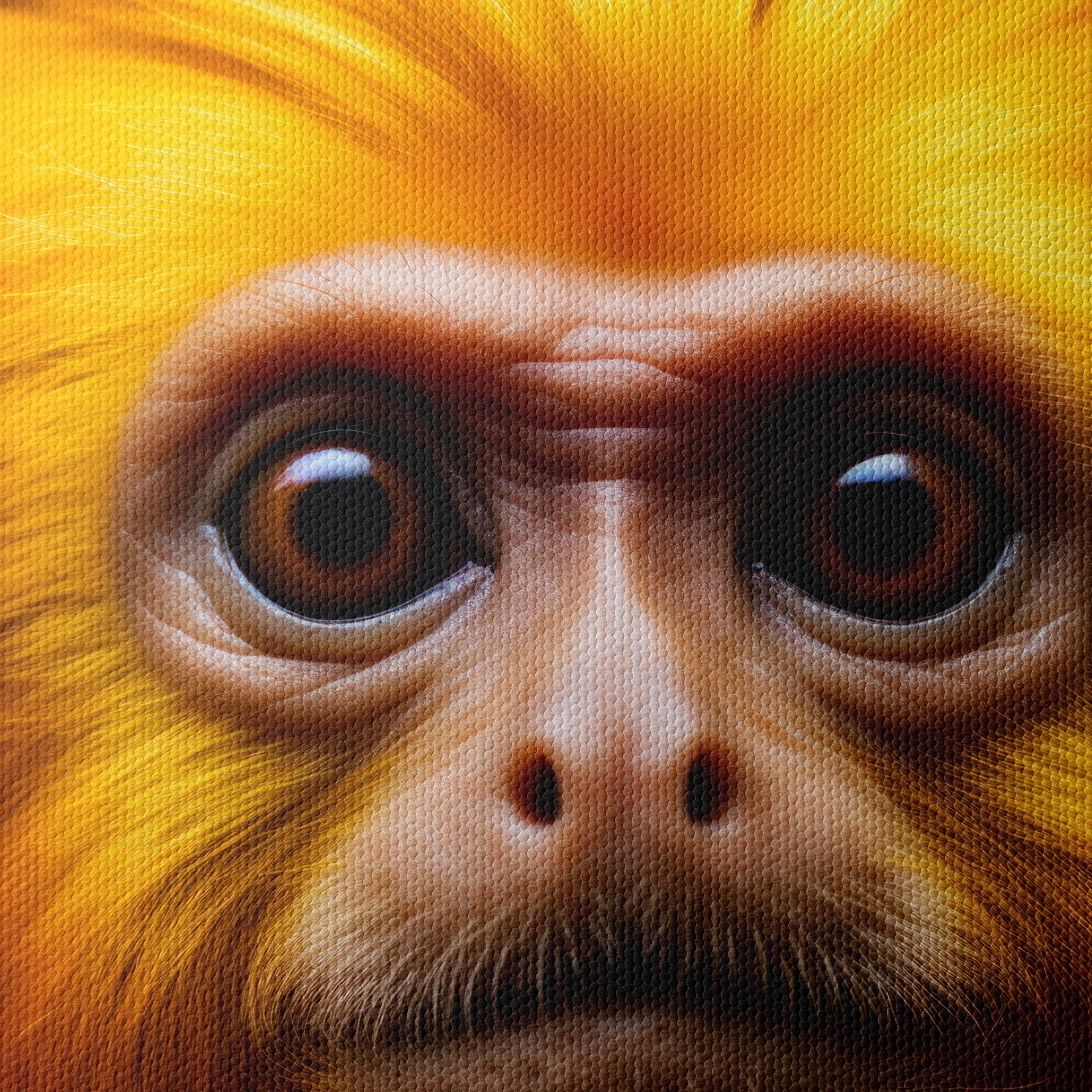 Vibrant Monkey Portrait Wall Art - Image 4