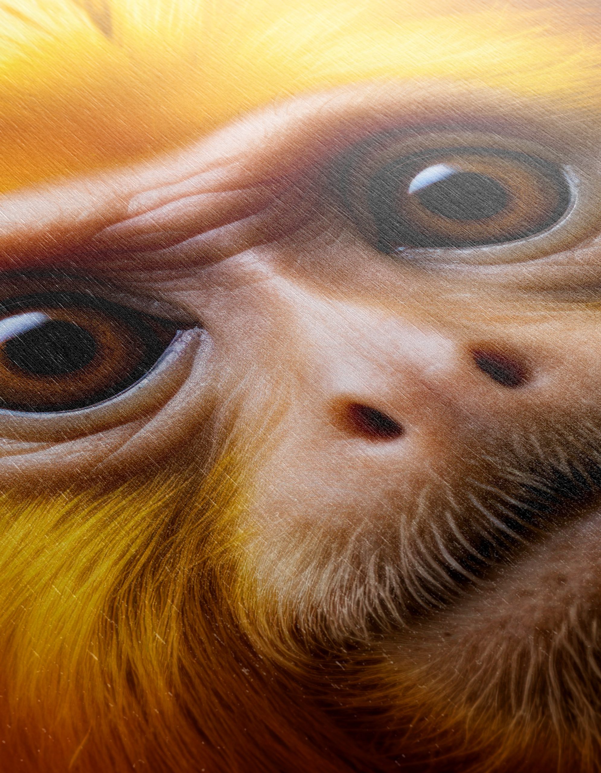 Vibrant Monkey Portrait Wall Art - Image 12