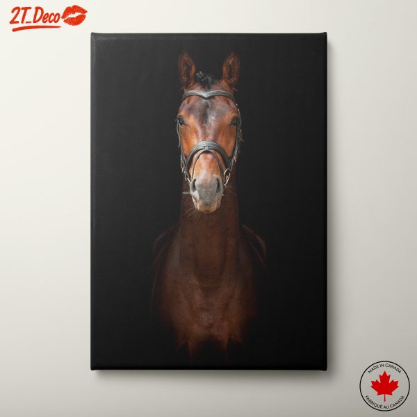 Majestic Horse Portrait Against Dark Background