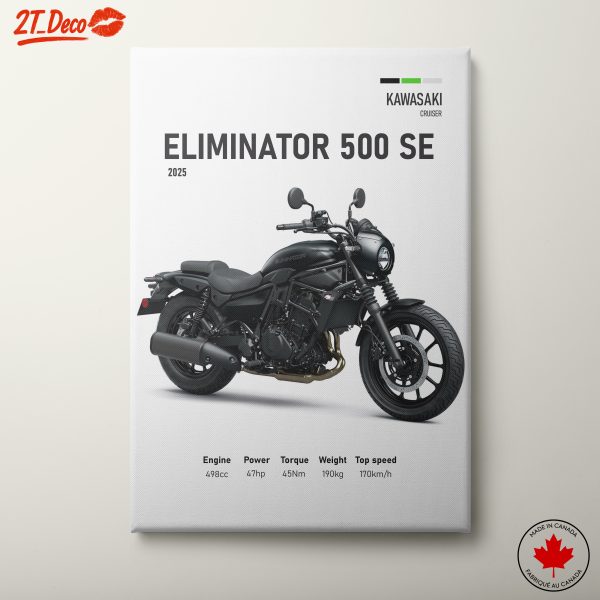 Kawasaki Eliminator 500 SE Motorcycle Art