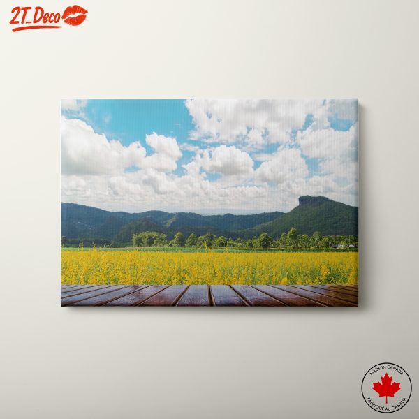 Tranquil Nature Scene with Yellow Flowers