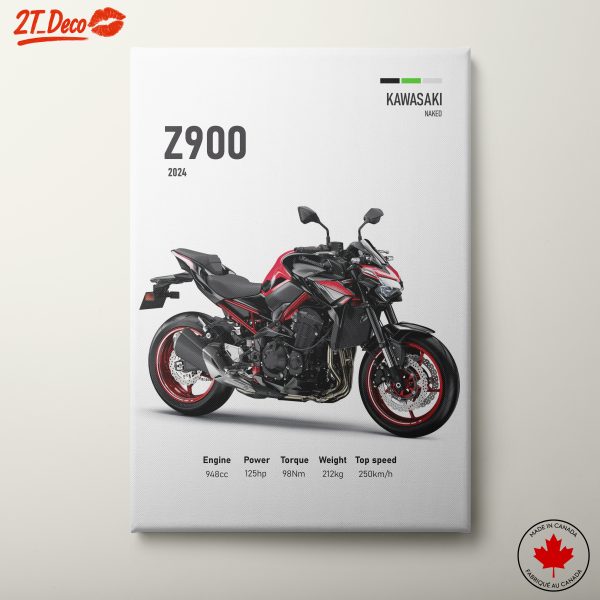Kawasaki Z900 2024 Motorcycle Art