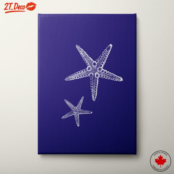 Detailed Illustration of Starfish