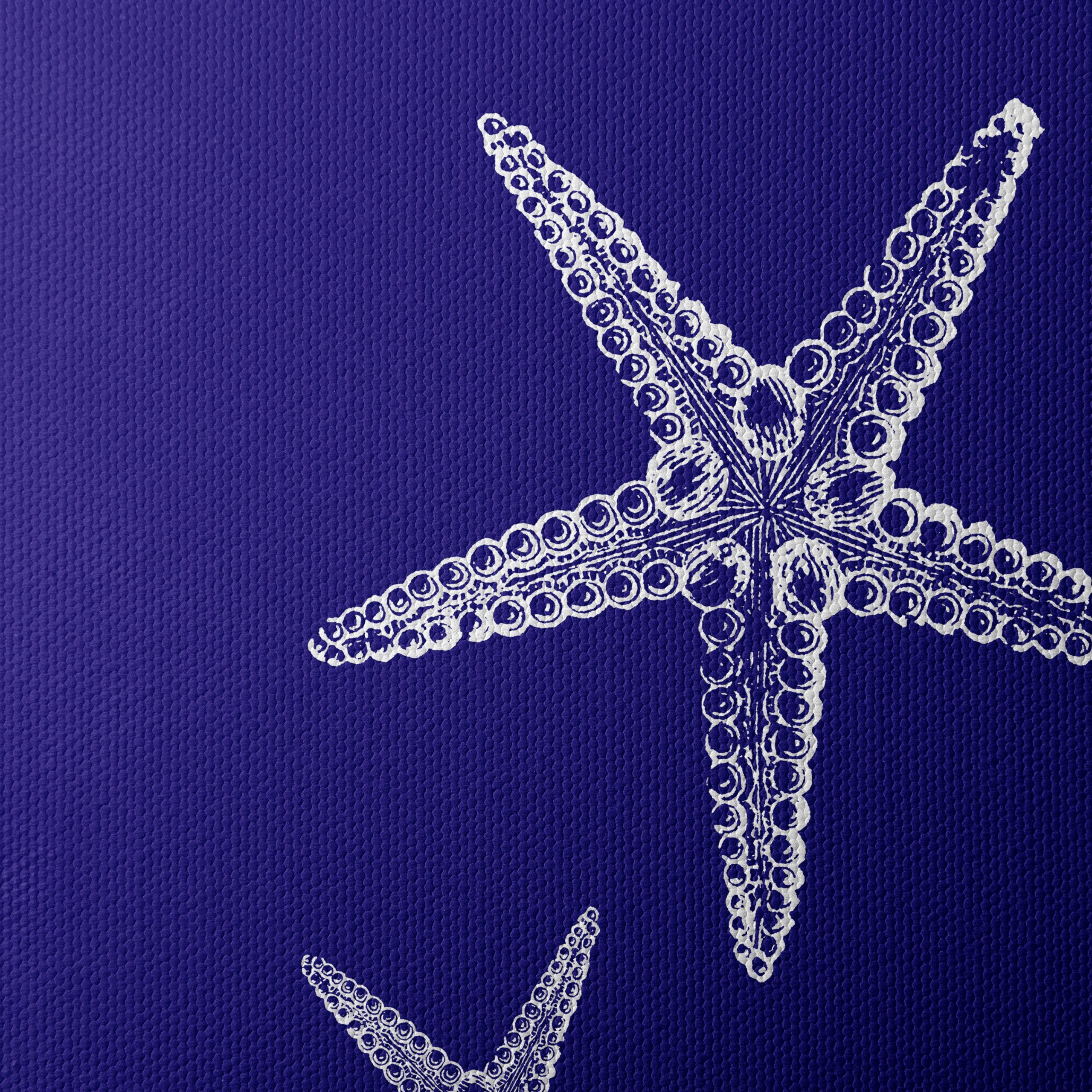 Detailed Illustration of Starfish - Image 4