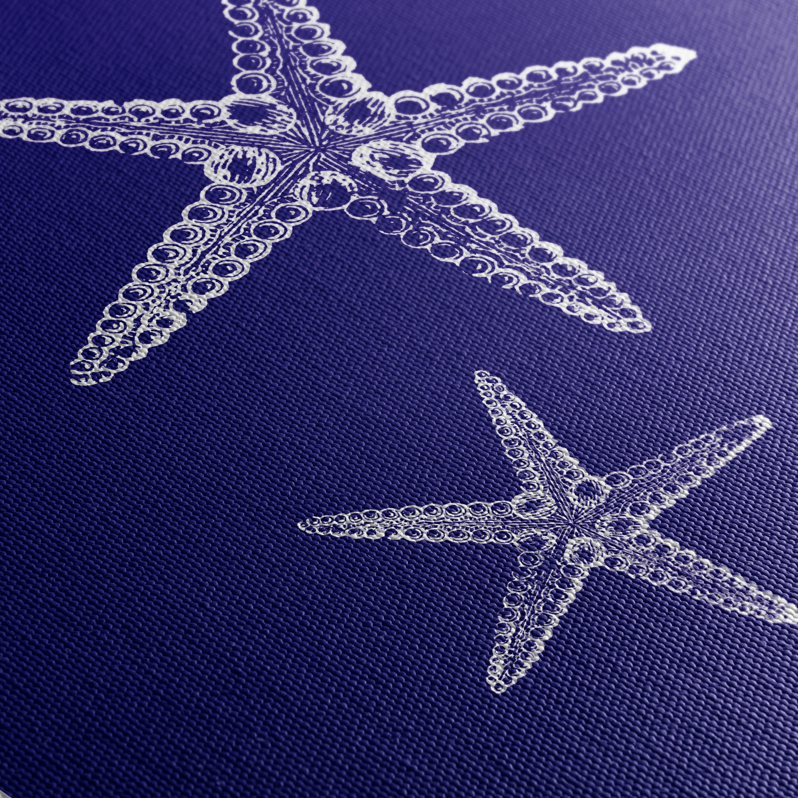 Detailed Illustration of Starfish - Image 5