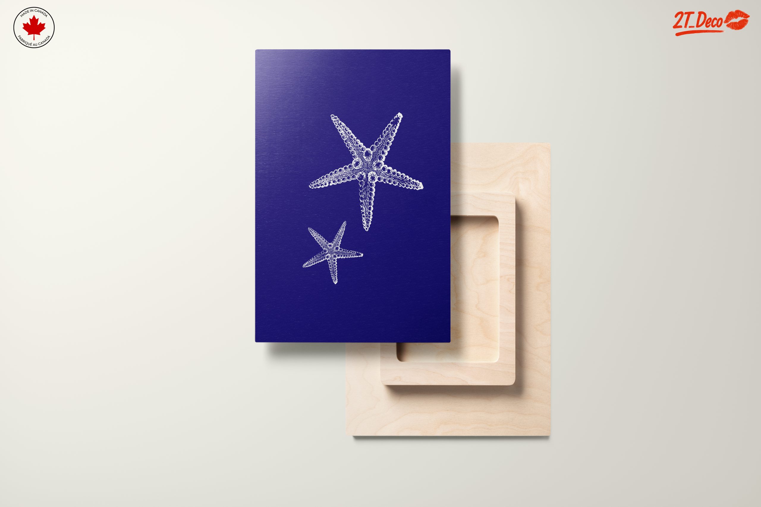 Detailed Illustration of Starfish - Image 11