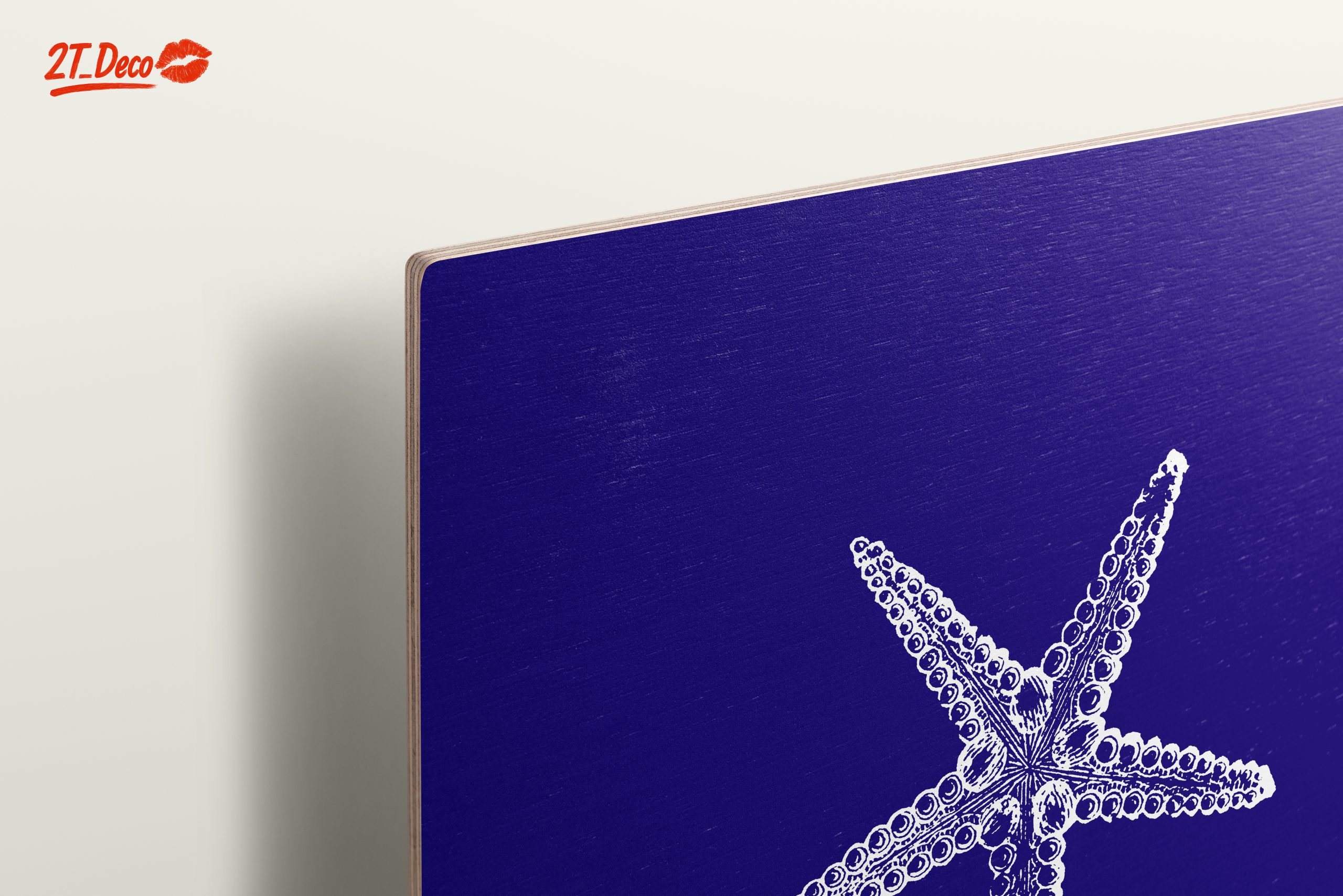 Detailed Illustration of Starfish - Image 15