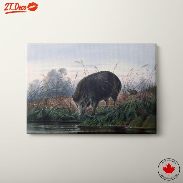 Artistic Portrayal of a Wild Boar