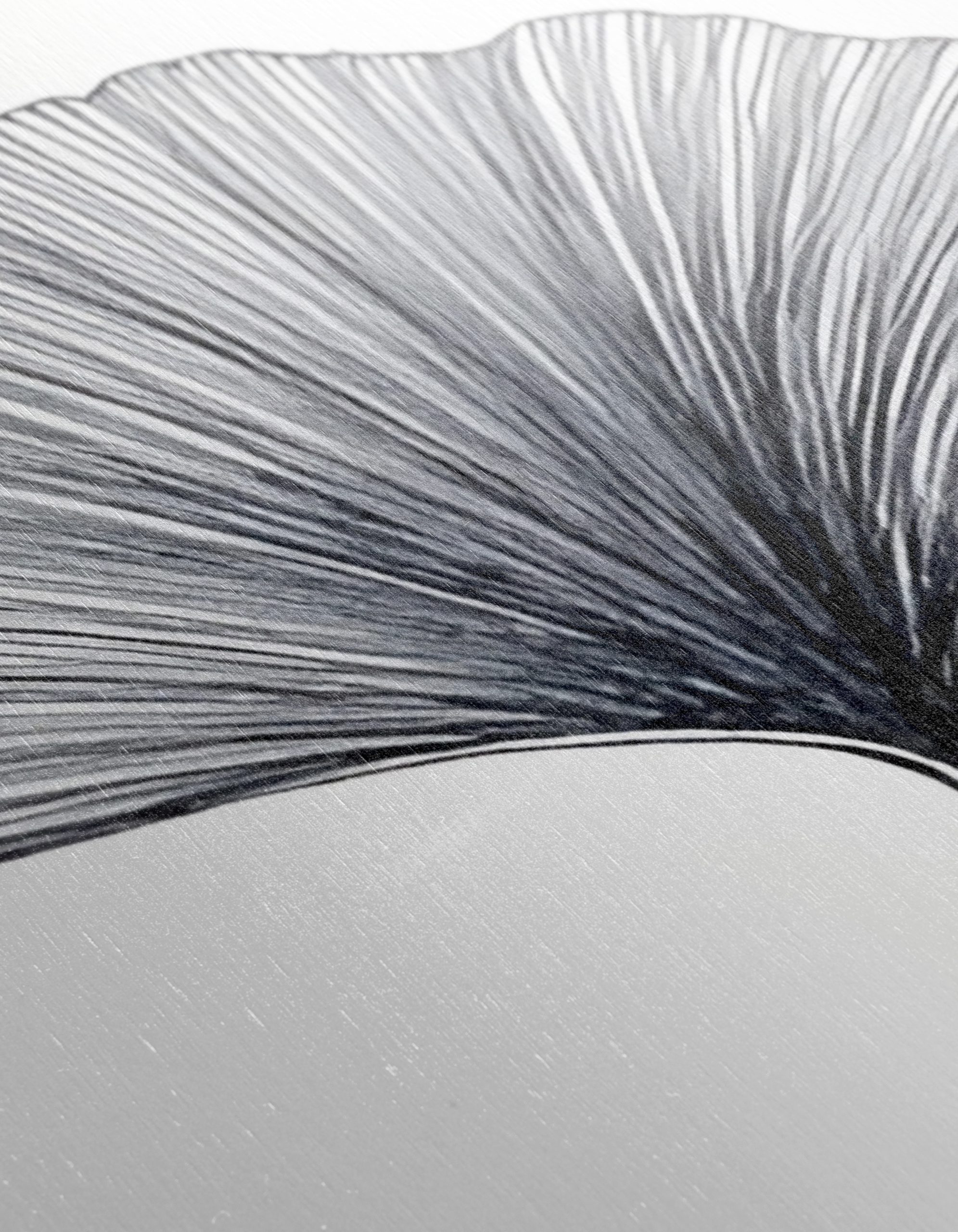 Delicate Minimalist Leaf Artwork - Image 12