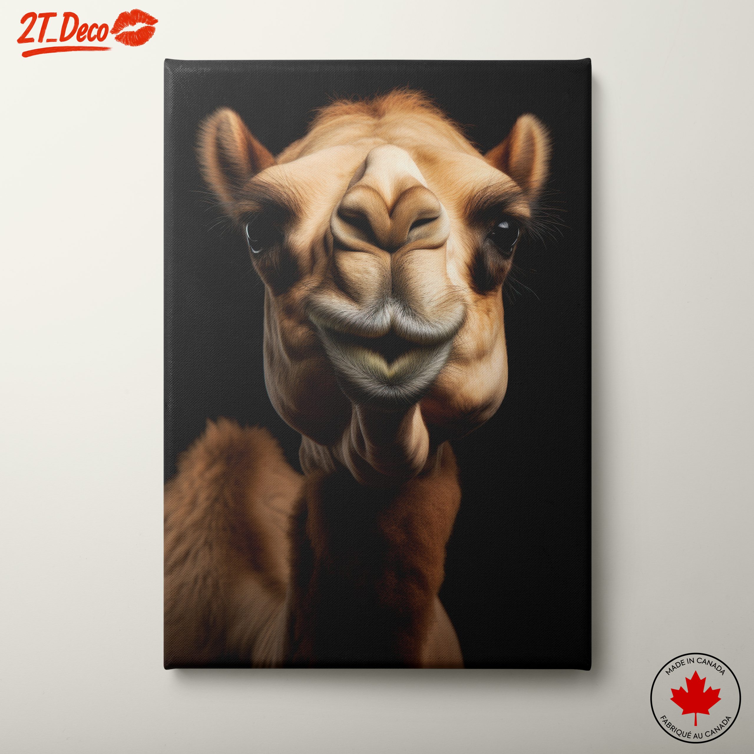 Majestic Camel Close-Up