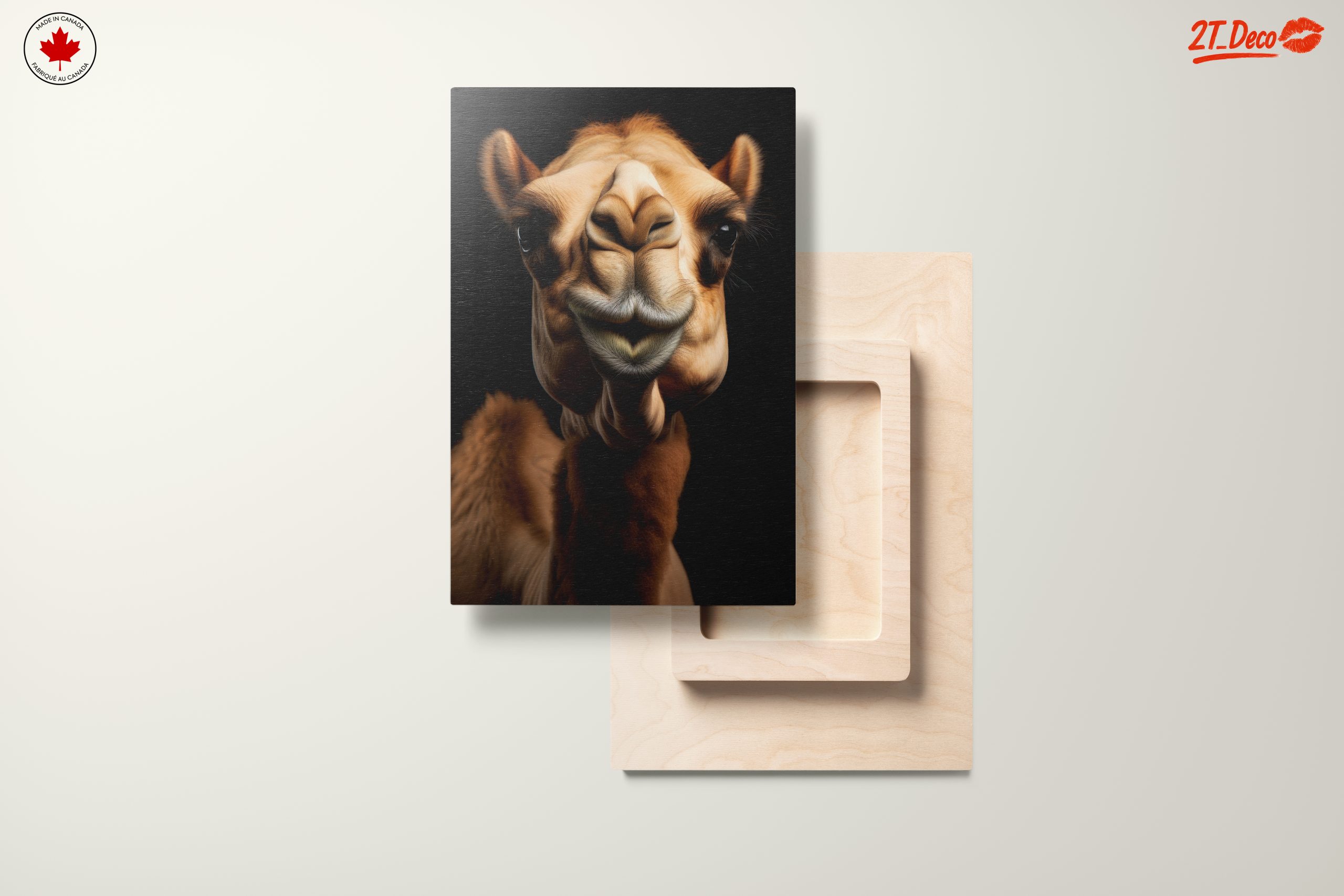 Majestic Camel Close-Up - Image 11