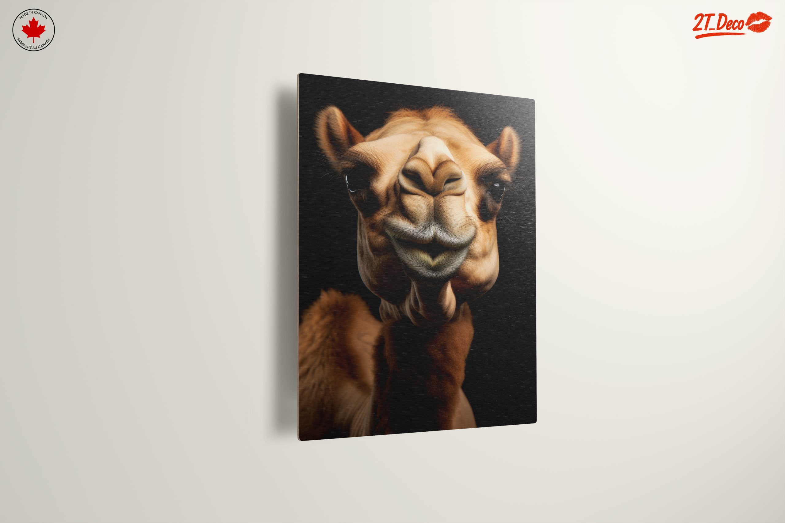 Majestic Camel Close-Up - Image 13
