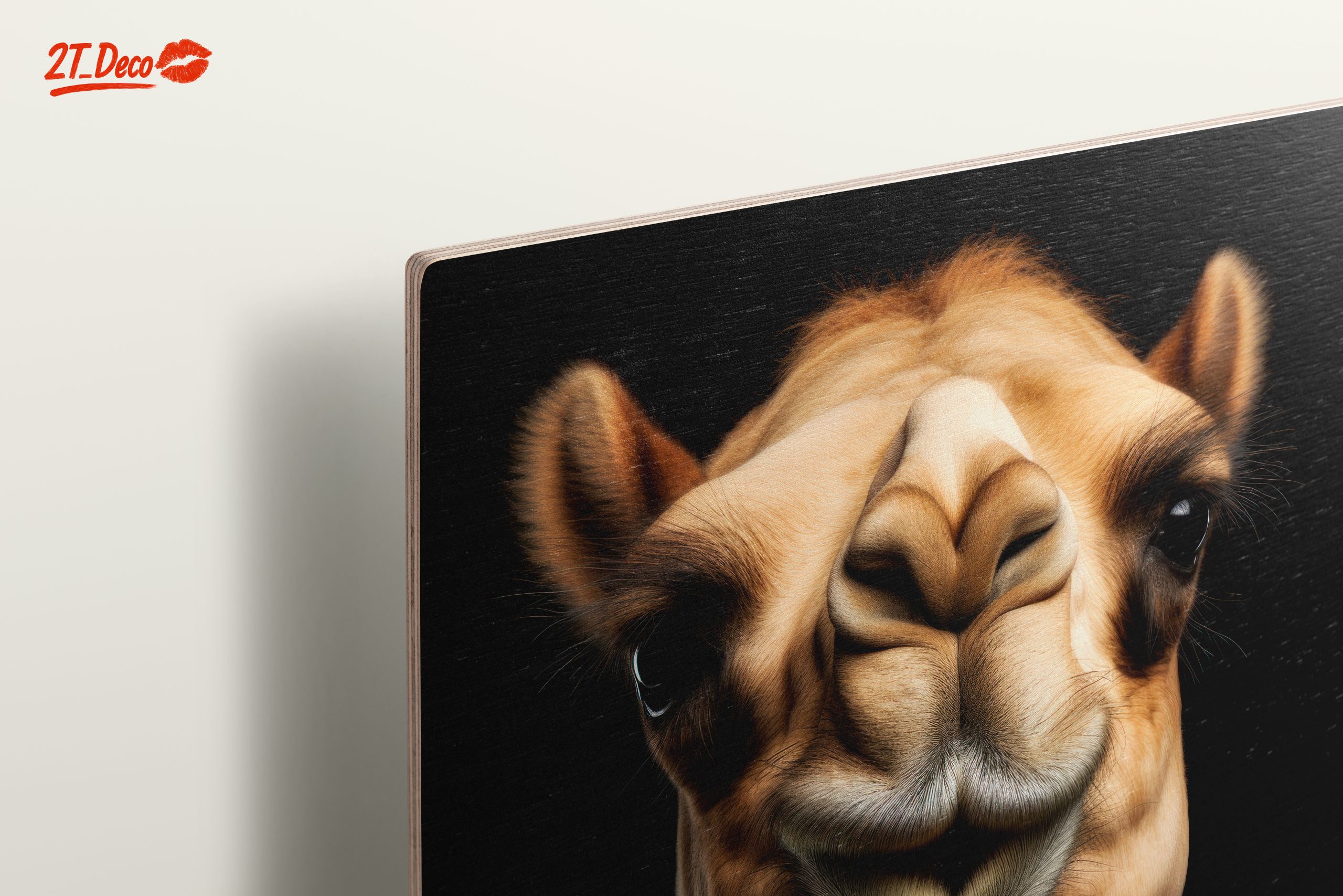 Majestic Camel Close-Up - Image 15
