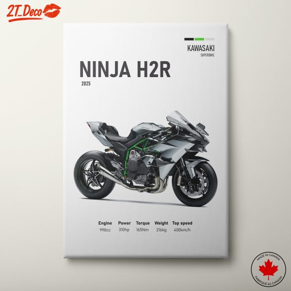 2025 Kawasaki Ninja H2R Superbike