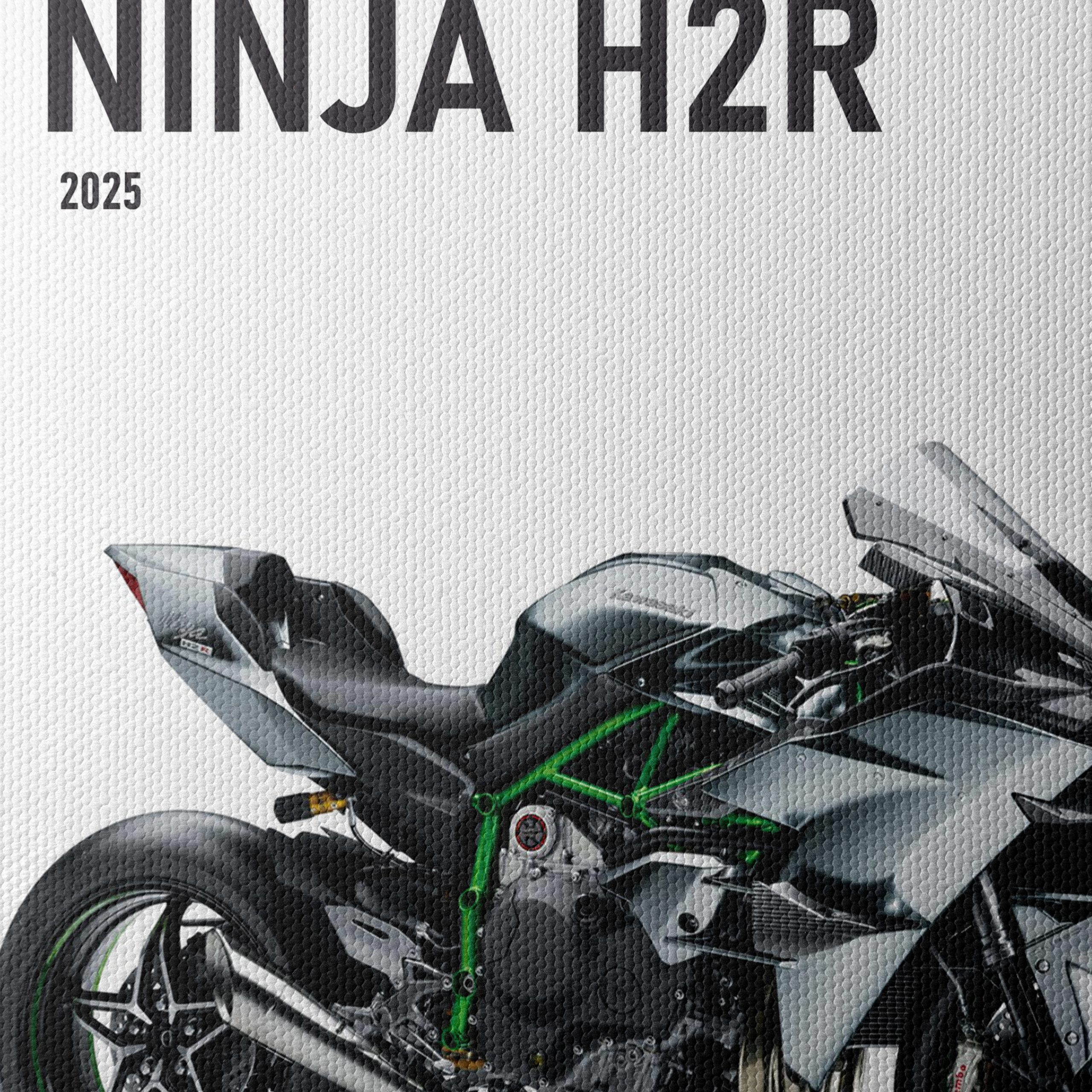 2025 Kawasaki Ninja H2R Superbike - Image 4