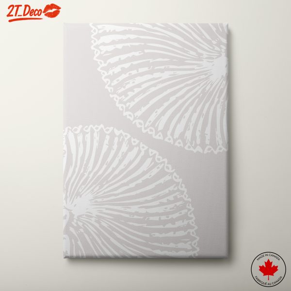 Stylized Abstract Shell Patterns