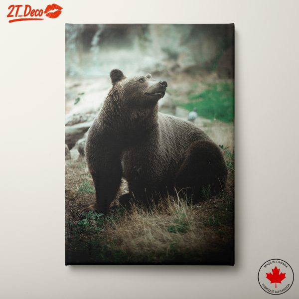 Majestic Bear in Natural Habitat