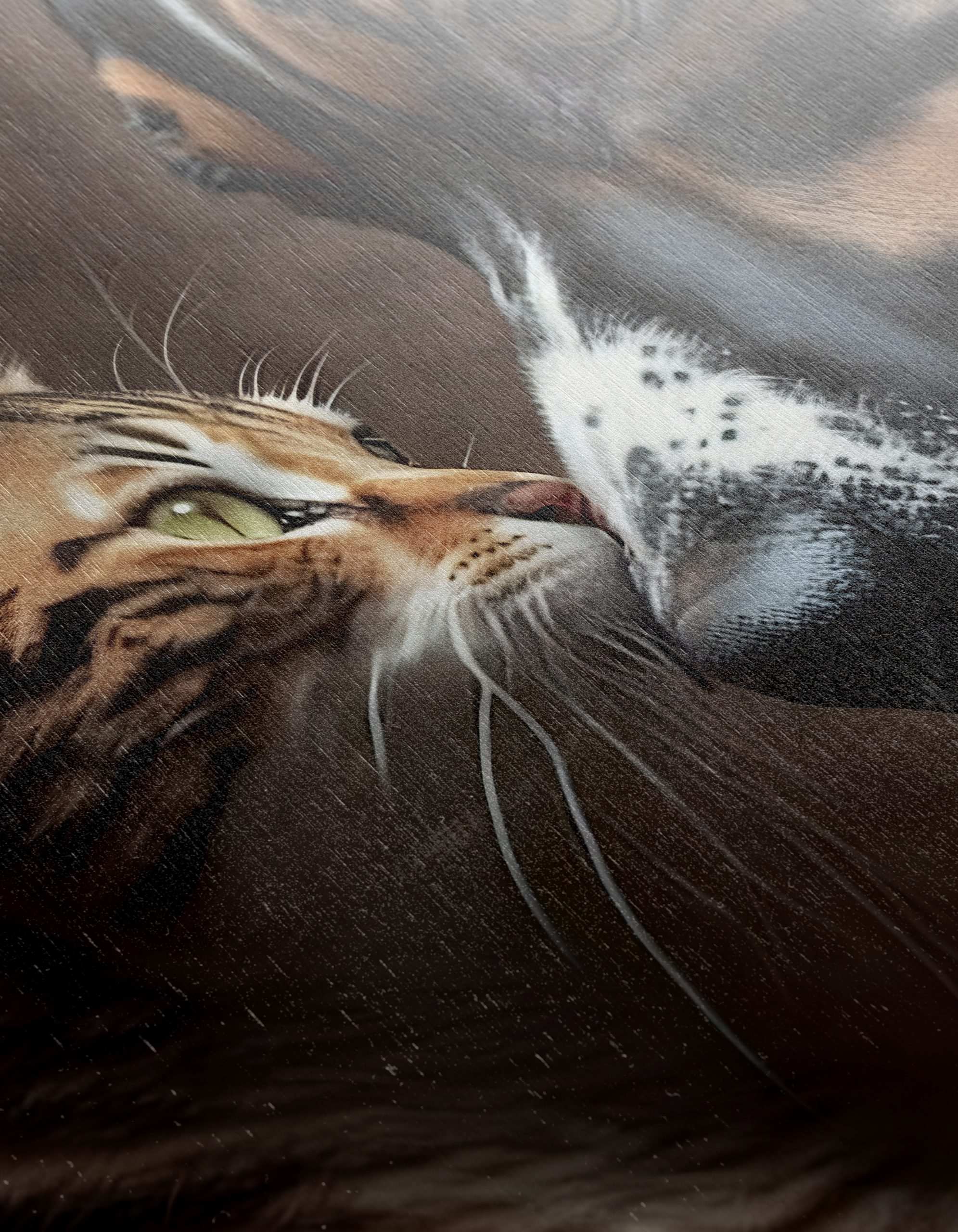 Affectionate Cat and Dog Portrait - Image 12