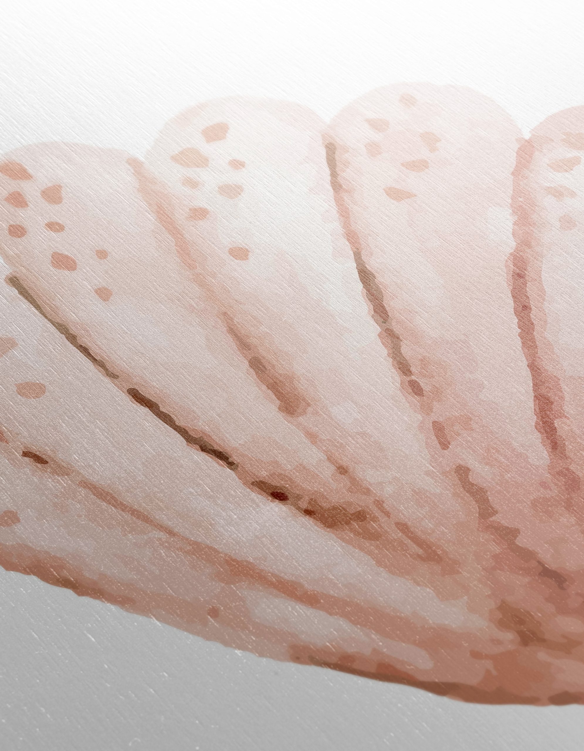 Stylized Seashell Art for Coastal Living - Image 12