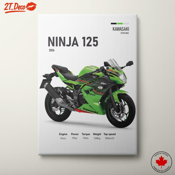 Kawasaki Ninja 125 Motorcycle Artwork