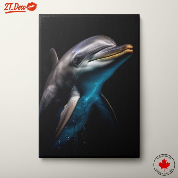 Dolphin in Stunning Detail