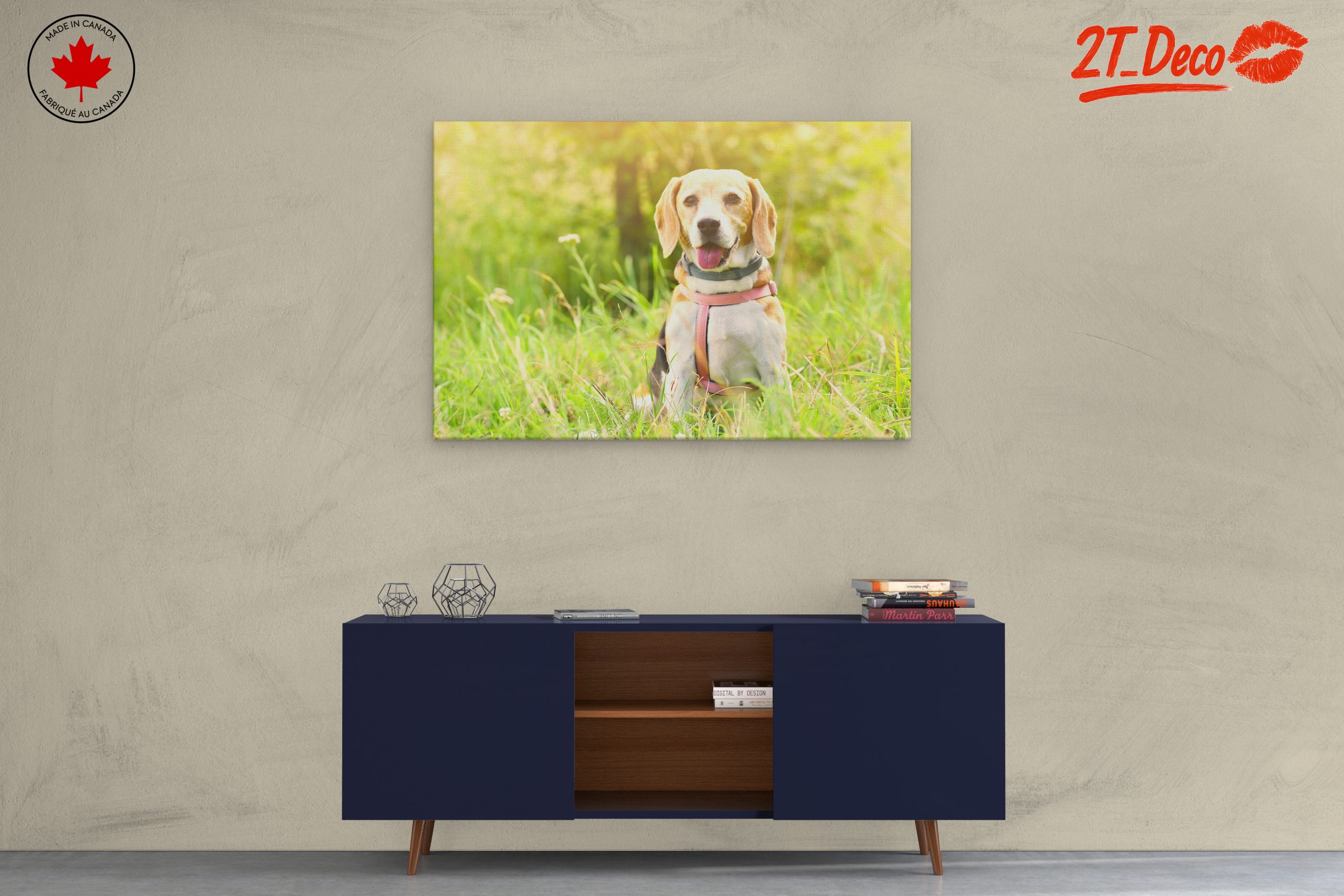 Cute Beagle Dog in Sunny Grass - Image 3