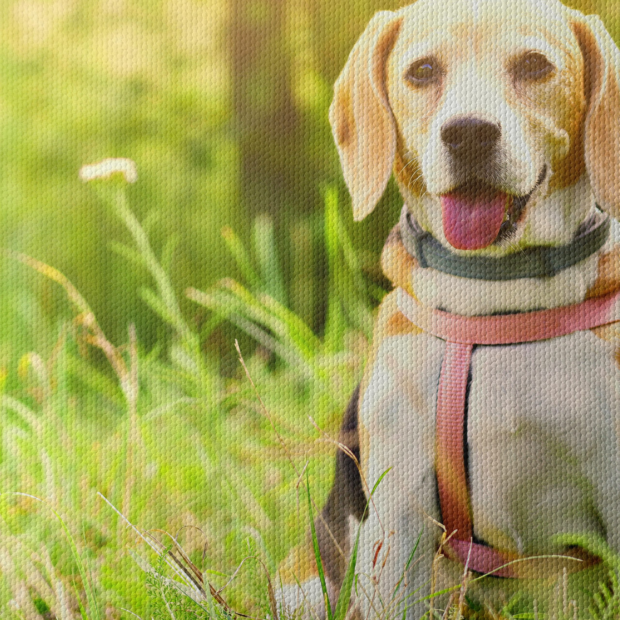 Cute Beagle Dog in Sunny Grass - Image 4