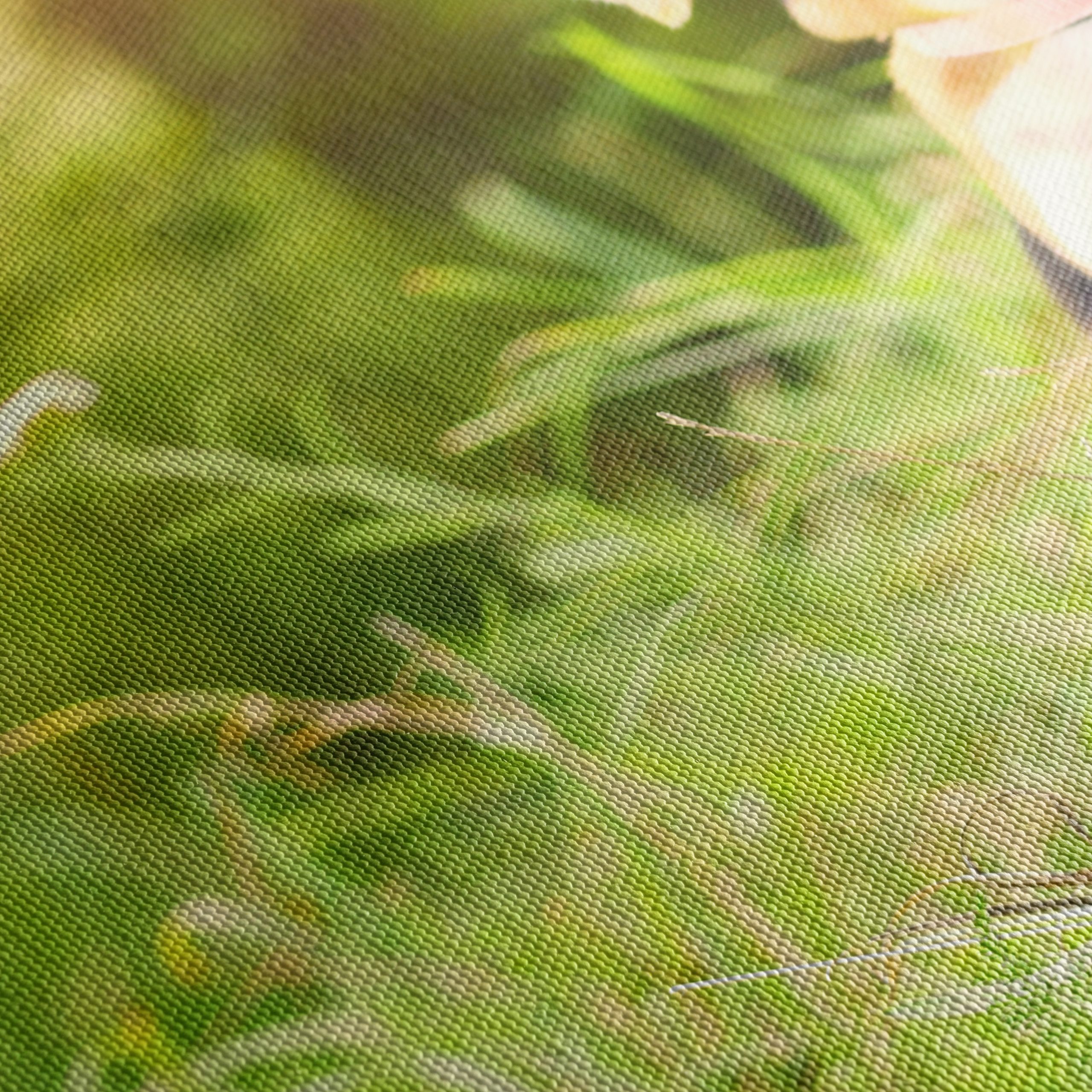 Cute Beagle Dog in Sunny Grass - Image 5