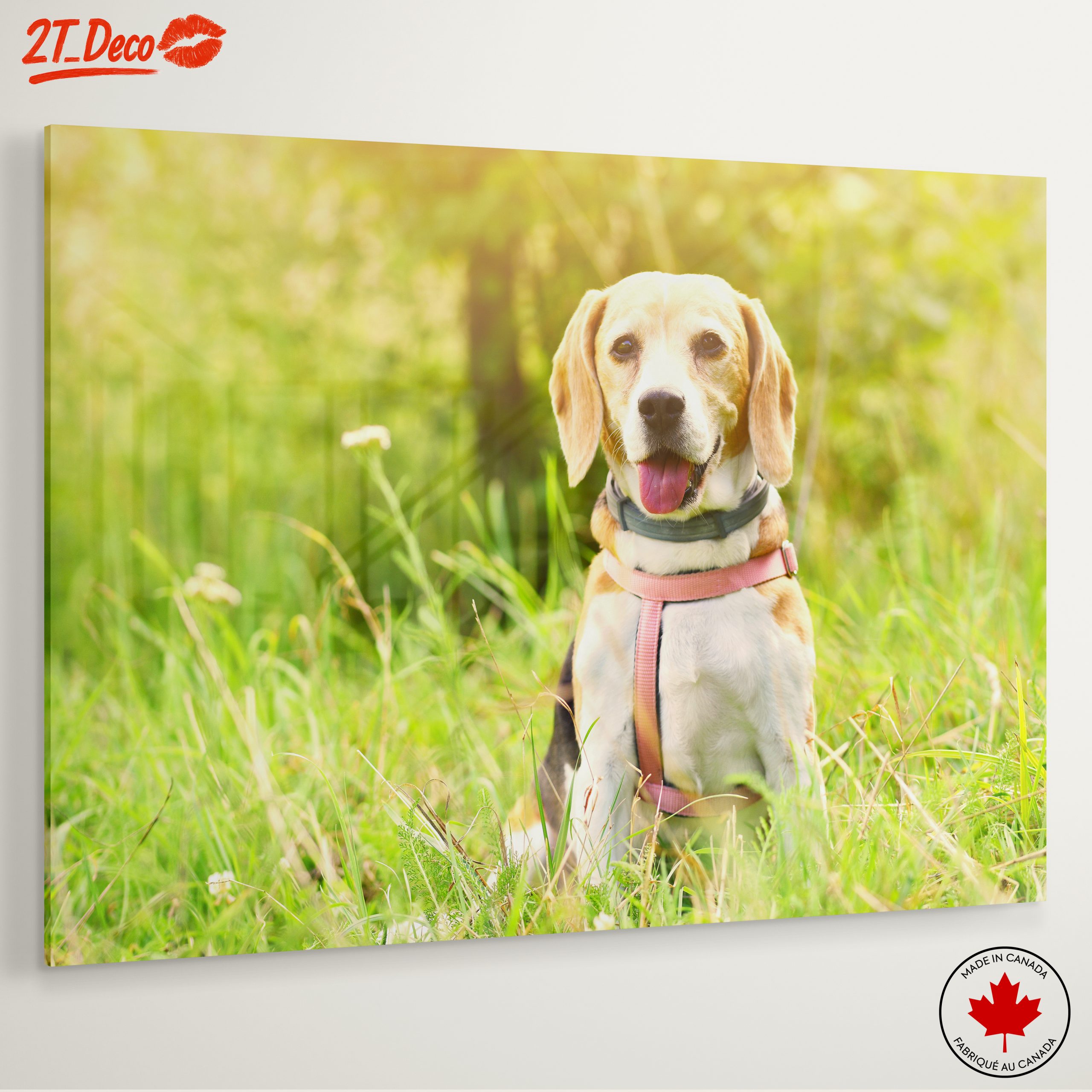 Cute Beagle Dog in Sunny Grass - Image 6