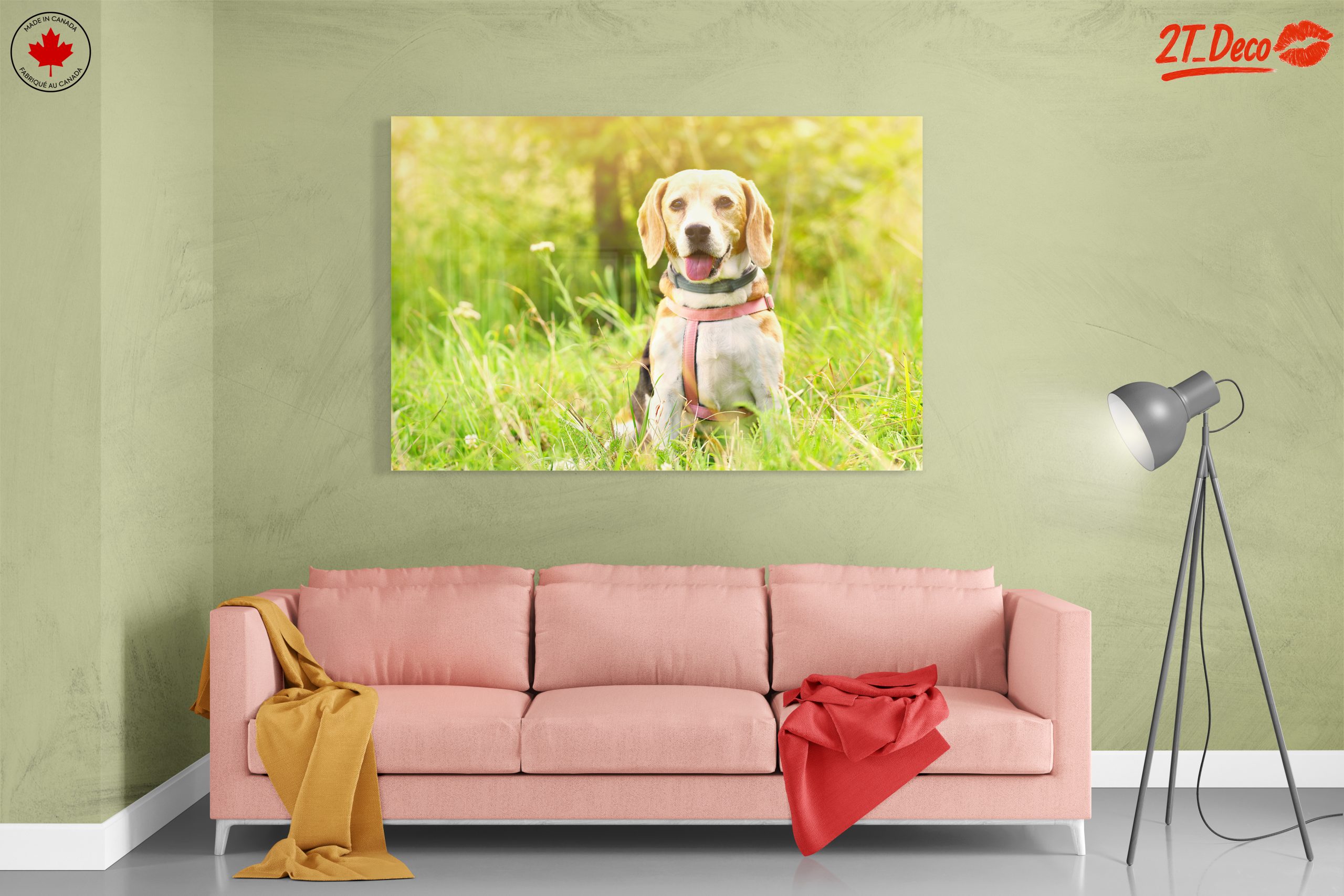 Cute Beagle Dog in Sunny Grass - Image 7