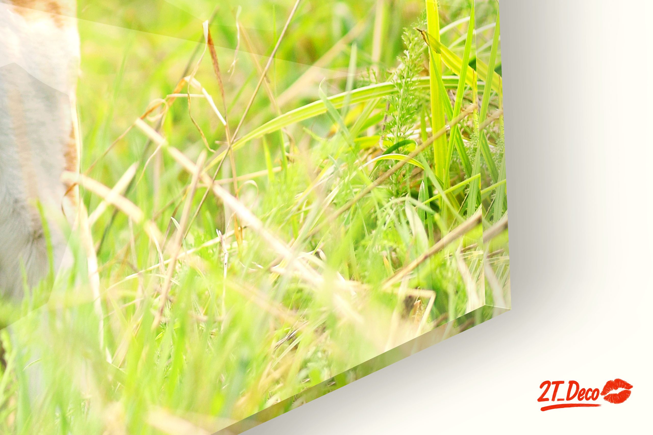 Cute Beagle Dog in Sunny Grass - Image 9