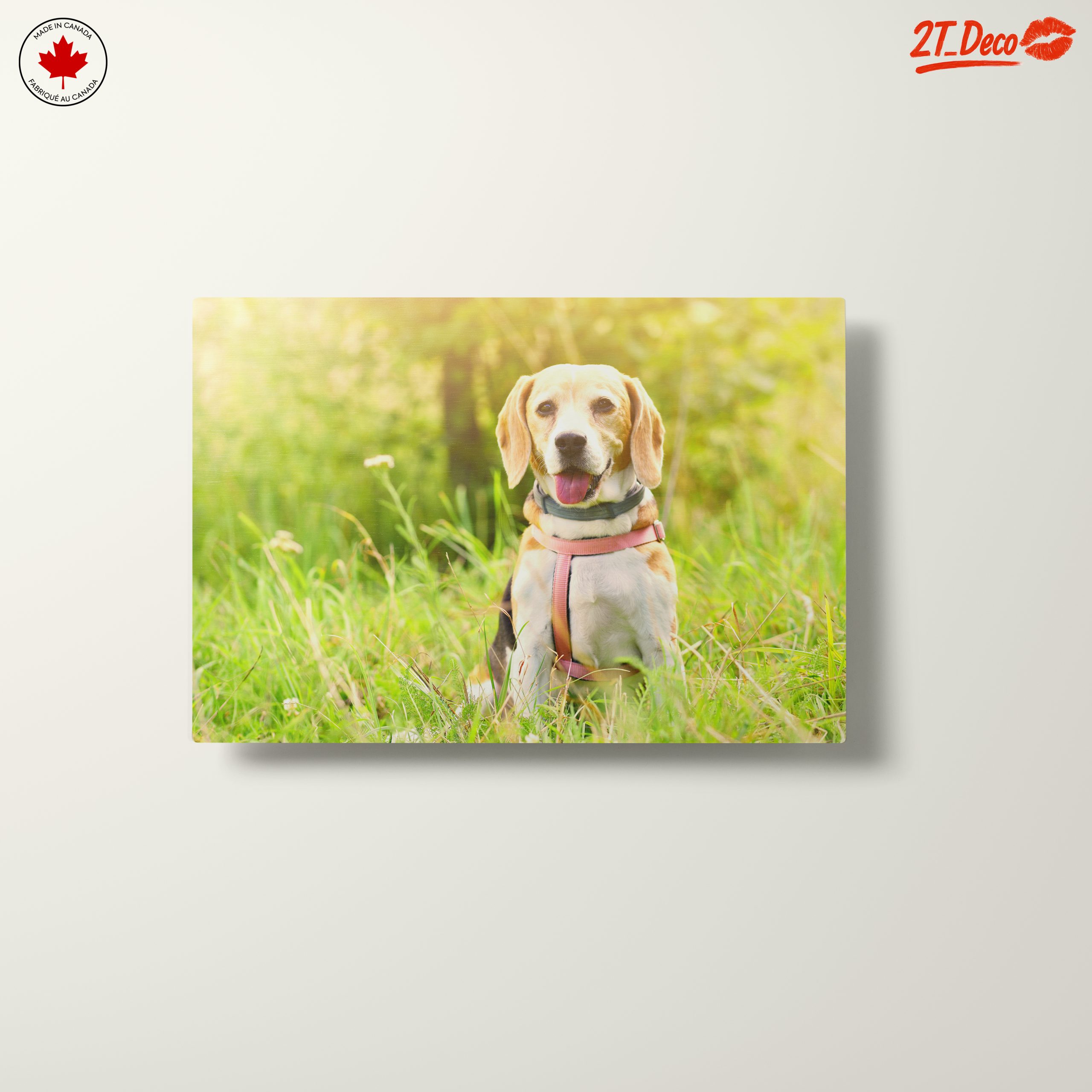 Cute Beagle Dog in Sunny Grass - Image 10