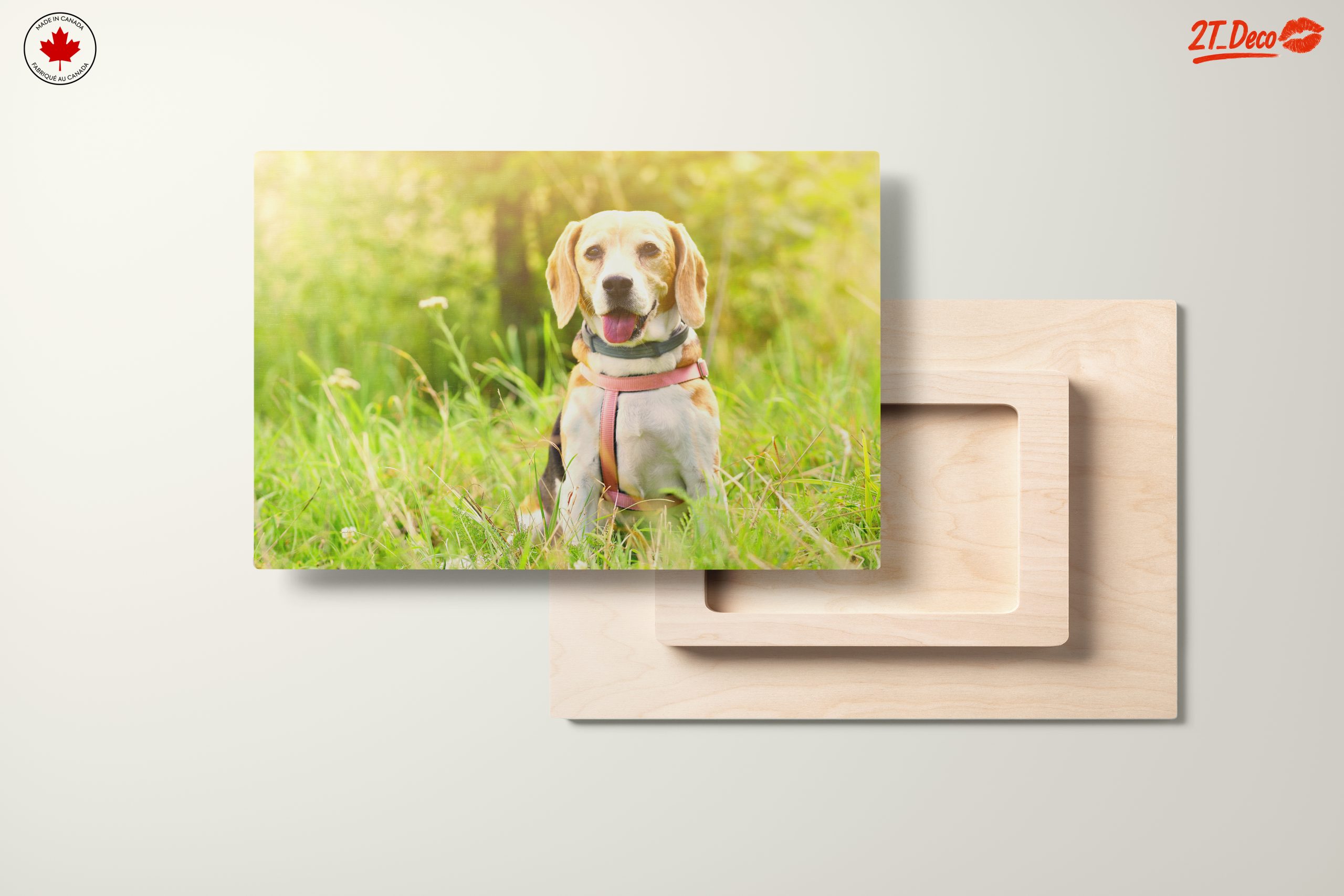 Cute Beagle Dog in Sunny Grass - Image 11