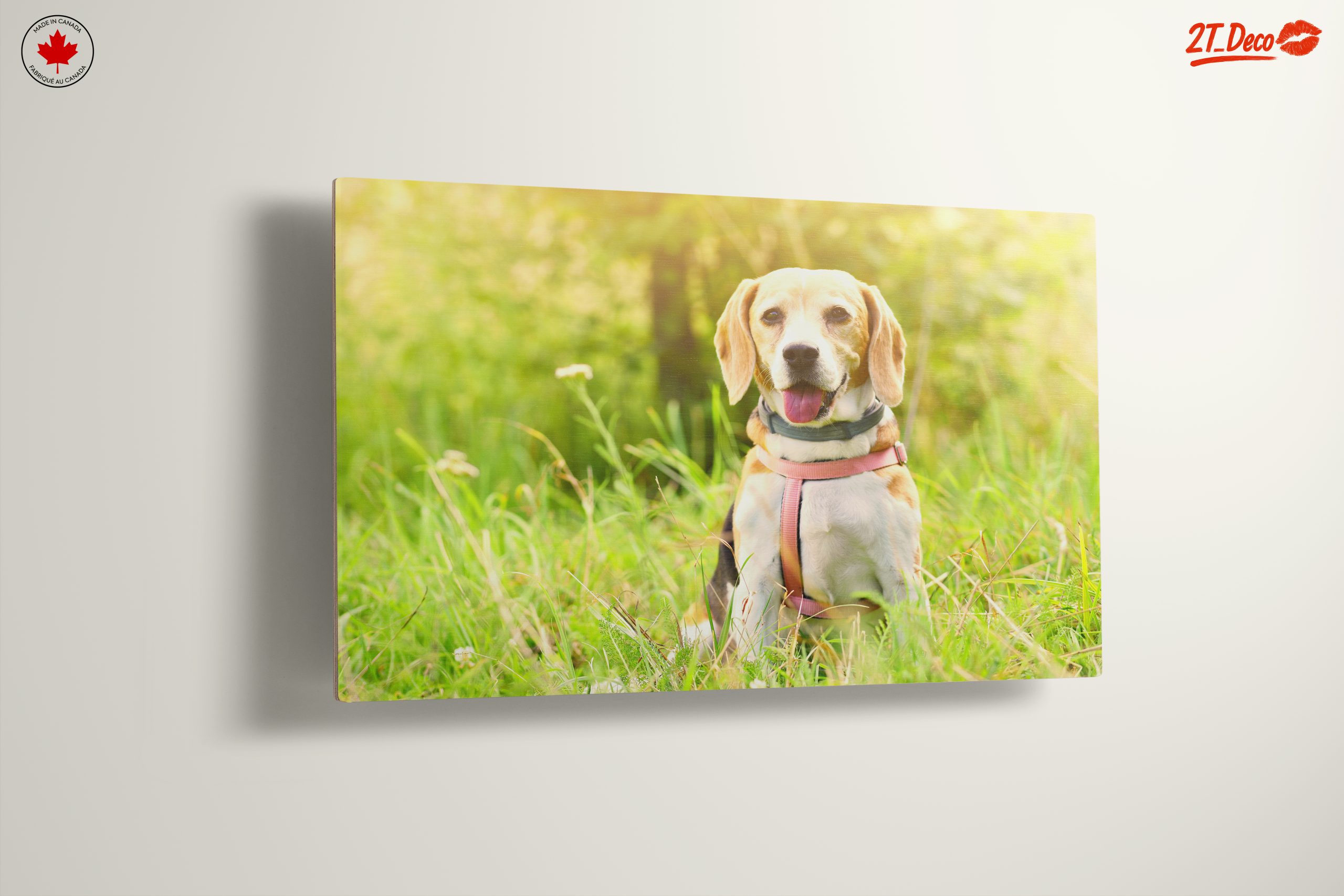 Cute Beagle Dog in Sunny Grass - Image 13