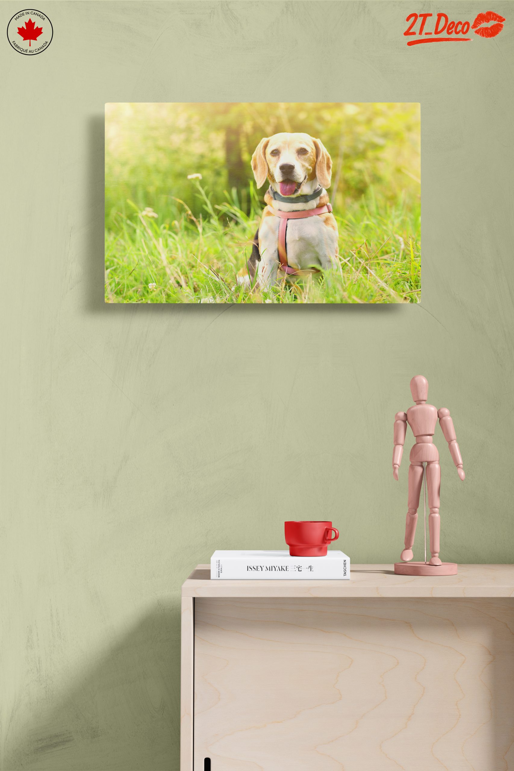 Cute Beagle Dog in Sunny Grass - Image 14