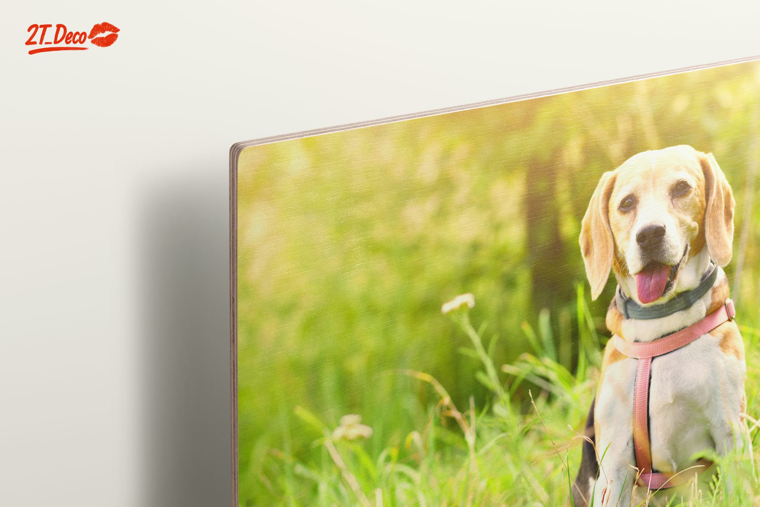 Cute Beagle Dog in Sunny Grass - Image 15