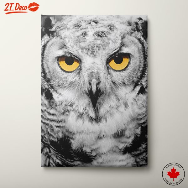 Stunning Owl Art with Yellow Eyes